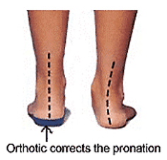 Biomechanics Barnet